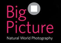 Konkurs fotograficzny BigPicture Natural World Photography – do 1 marca 2019