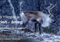 Konkurs fotograficzny Śnieg organizator Olympus – do 31 grudnia 2018