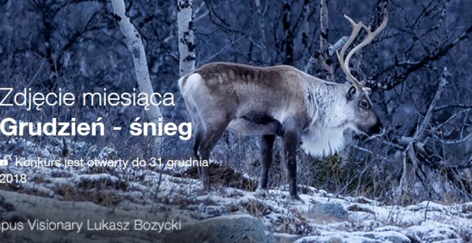 Konkurs fotograficzny Śnieg organizator Olympus