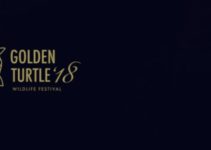 Konkurs fotograficzny Golden Turtle – do 31 maja 2019
