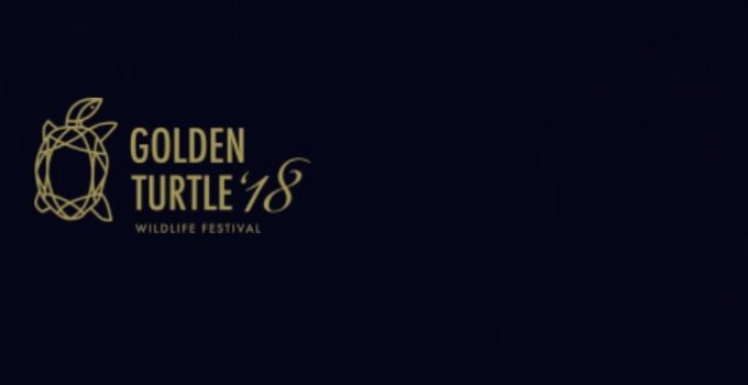 Golden Turtle 2019 Wildlife Photography Competition