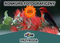 Konkurs fotograficzny „PRZYRODA” – do 23 czerwca 2019
