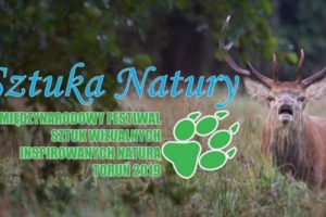 Konkurs fotograficzny „Kadry z Natury” – do 14 października 2019