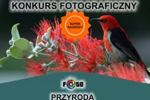 Konkurs fotograficzny „PRZYRODA” – do 6 października 2019