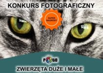 Konkurs fotograficzny „ZWIERZĘTA DUŻE I MAŁE” – do 27 października 2019