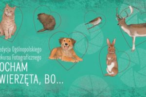 Konkurs Fotograficzny „Kocham zwierzęta, bo…” do 5 czerwca 2020