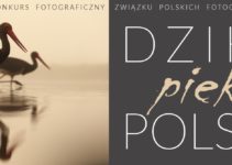 Dzikie, piękne, polskie! do 30 września 2020