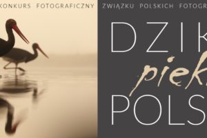 Dzikie, piękne, polskie! do 30 września 2020