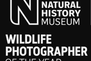 Wildlife Photographer of the Year do 10 grudnia 2020