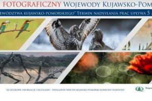 „Przyroda województwa kujawsko-pomorskiego” do 5 maja 2021