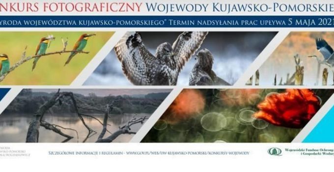 przyroda-wojewodztwa-kujawsko-pomorskiego-2021