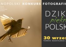„Dzikie, piękne, polskie”do 30 września 2021