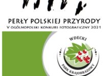 „Perły polskiej przyrody” do 15 października 2021