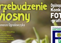 Konkurs im. Tomasza Ogrodowczyka „Przebudzenie wiosny” do 29 kwietnia 2022