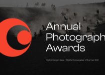 Annual Photography Awards do 11 grudnia 2022