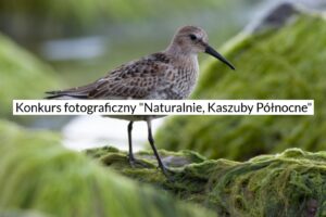 Konkurs fotograficzny „Naturalnie, Kaszuby Północne” do 10 maja 2023