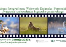 „Przyroda województwa kujawsko-pomorskiego” do 3 maja 2023