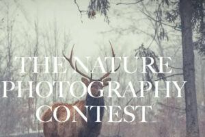 Nature photography Contest do 22 listopada 2023