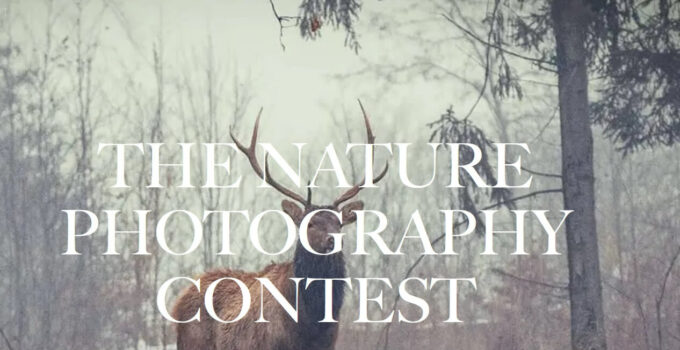Nature photography Contest