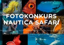 Konkursu Fotografii Podwodnej Nautica Safari do 15 listopada 2023
