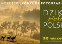 „Dzikie, piękne, polskie” do 30 września 2023