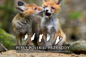 Perły Polskiej Przyrody do 15 października 2023