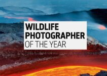 Wildlife Photographer of the Year do 7 grudnia 2023
