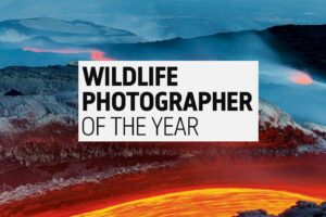 Wildlife Photographer of the Year do 7 grudnia 2023
