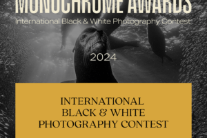 Monochrome Awards do 7 lipca 2024