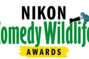 Comedy Wildlife Photography Awards do 31 lipca 2024