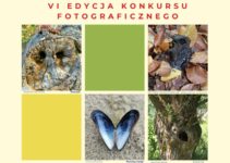 VI edycja konkursu Pareidolia w Naturze do 29 września 2024