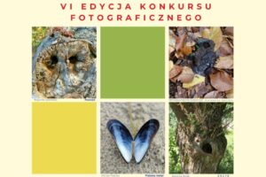 VI edycja konkursu Pareidolia w Naturze do 29 września 2024