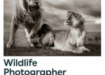 Wildlife Photographer of the Year do 5 grudnia 2024