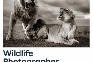 Wildlife Photographer of the Year do 5 grudnia 2024