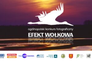 Konkurs Fotograficzny „Efekt Wołkowa” do 30 czerwca 2025