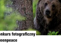 Konkurs fotograficzny Greenpeace do 10 września 2025