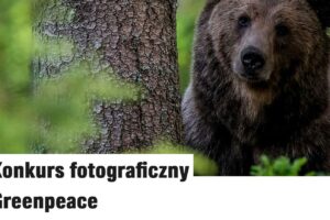 Konkurs fotograficzny Greenpeace do 10 września 2025 Konkurs fotograficzny Greenpeace do 10 września 2025