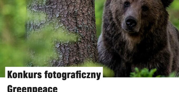 Konkurs fotograficzny Greenpeace