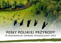 Konkurs Fotograficzny „Perły polskiej przyrody 2025” do 15 października
