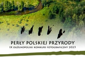 Konkurs Fotograficzny „Perły polskiej przyrody 2025” do 15 października