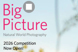 Big Picture do 1 marca 2026