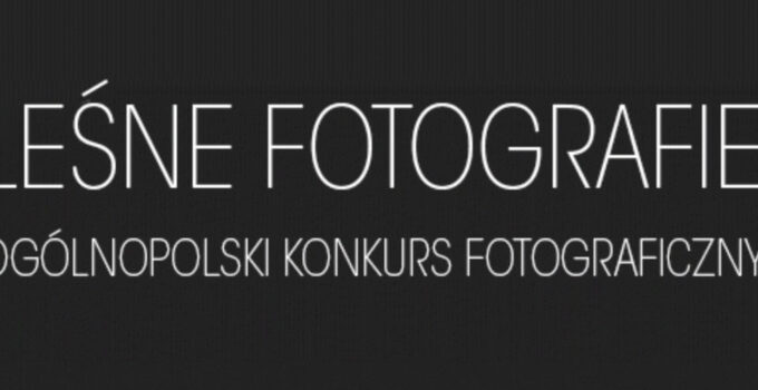 Konkurs Fotograficzny „Leśne fotografie”