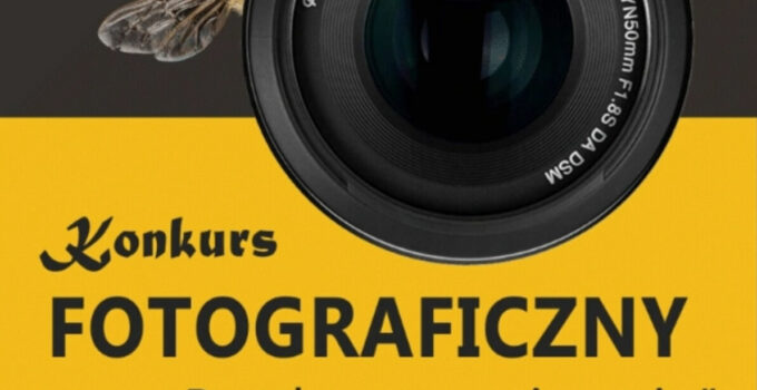 Konkurs Fotograficzny „Przelotne spojrzenie”