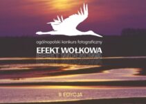 Konkurs Fotograficzny ,,Efekt Wołkowa” do 30 czerwca 2026