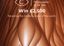Close-up Photographer of the Year do 12 lipca 2026 Close-up Photographer of the Year do 12 lipca 2026
