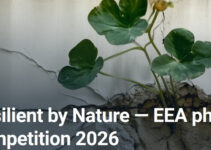 Resilient by Nature do 10 sierpnia 2026 Resilient by Nature do 10 sierpnia 2026