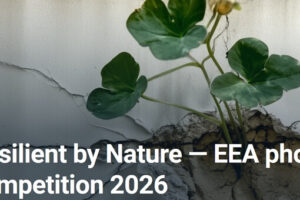 Resilient by Nature do 10 sierpnia 2026 Resilient by Nature do 10 sierpnia 2026