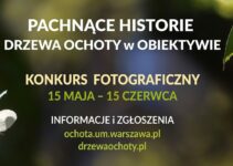 „Pachnące historie – drzewa Ochoty w obiektywie” do 15 czerwca 2026