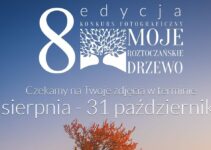 8. Konkurs Fotograficzny „Moje roztoczańskie drzewo” do 31 października 2026