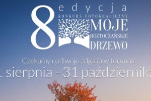 8. Konkurs Fotograficzny „Moje roztoczańskie drzewo” do 31 października 2026